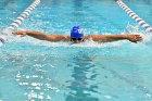 Swimming vs Bentley  Wheaton College Swimming vs Bentley. - Photo By: KEITH NORDSTROM : Wheaton, Swimming, Bentley